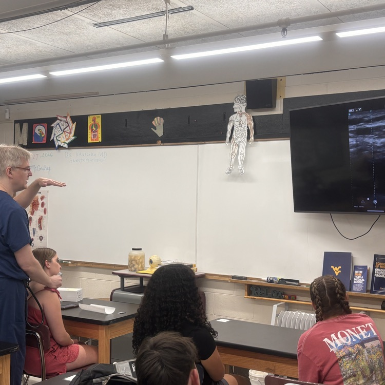 anatomy students learning