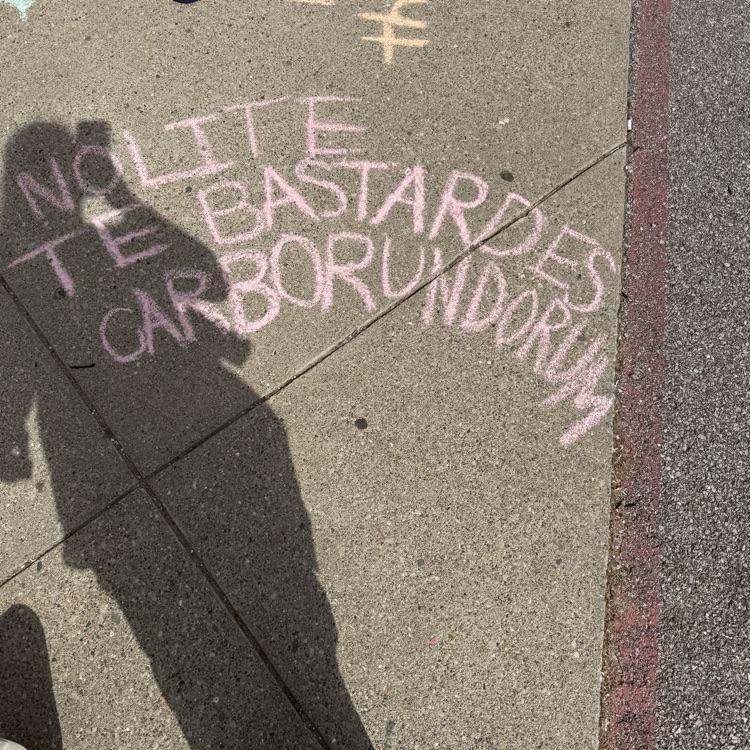 lit words 