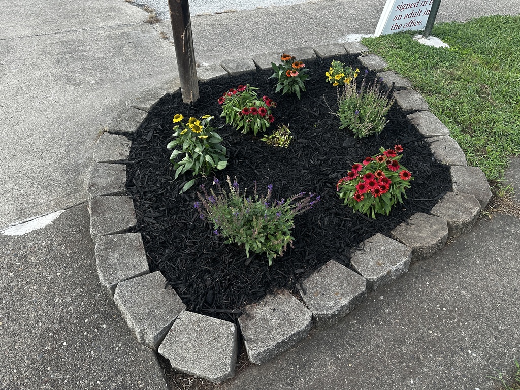 Curbside flower bed with black mulch, stone edging, a tree, and colorful red, yellow, orange, and purple blooms in a tidy setting.