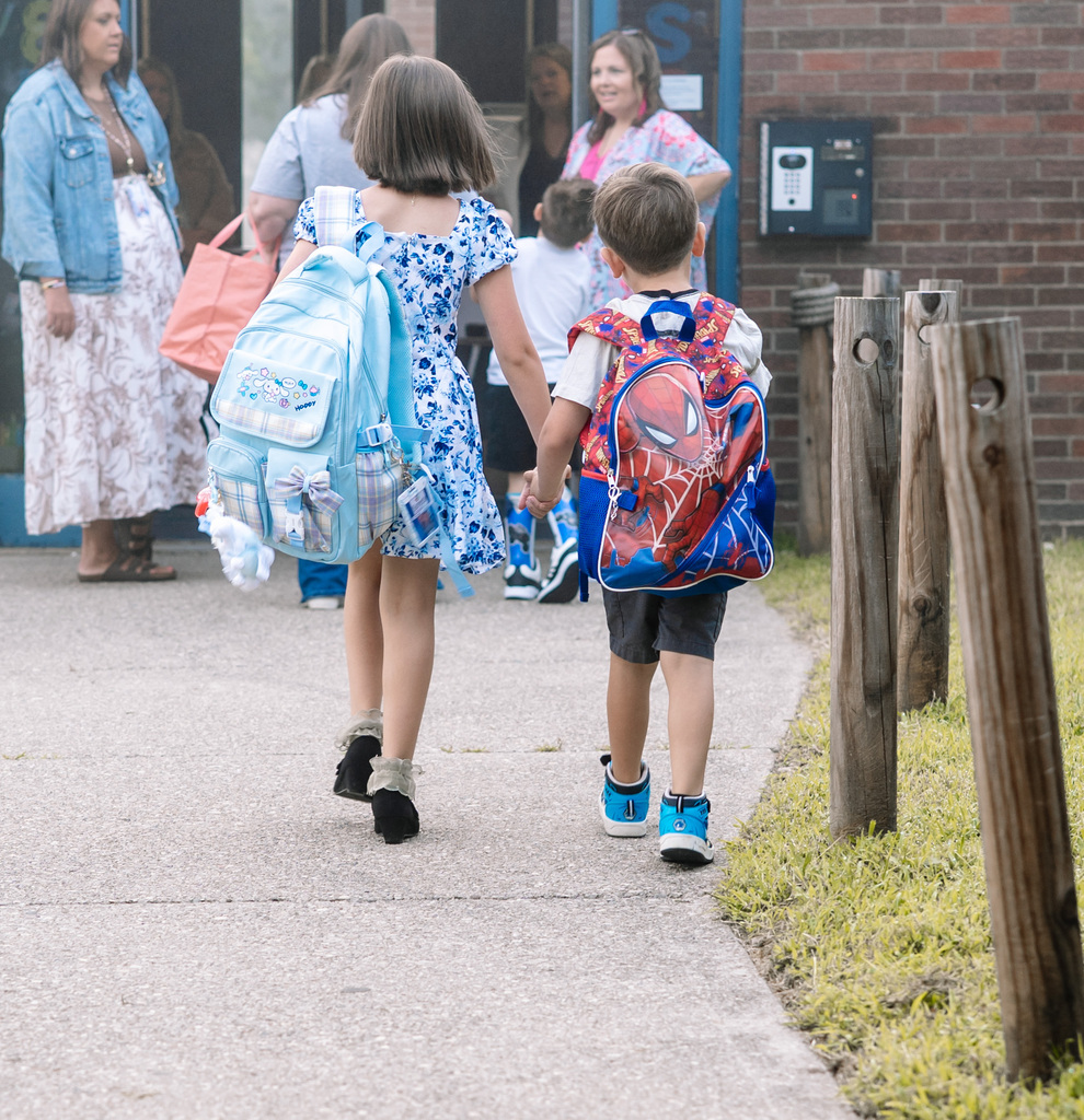 A brother and sister walking into school while holding hands.The girl has a hello kitty back pack and the boy has a spider man backpack.