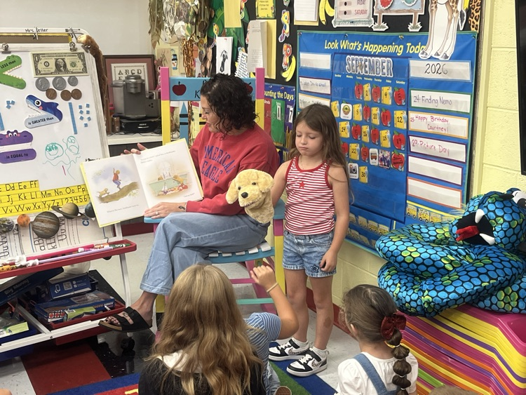 mystery reader