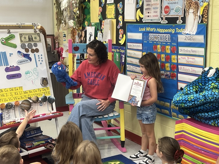 mystery reader