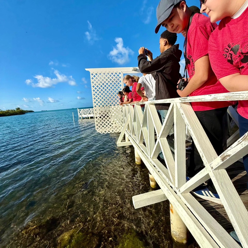 Students stand on a dock above water as they learn more about the local aquatic ecosystem.