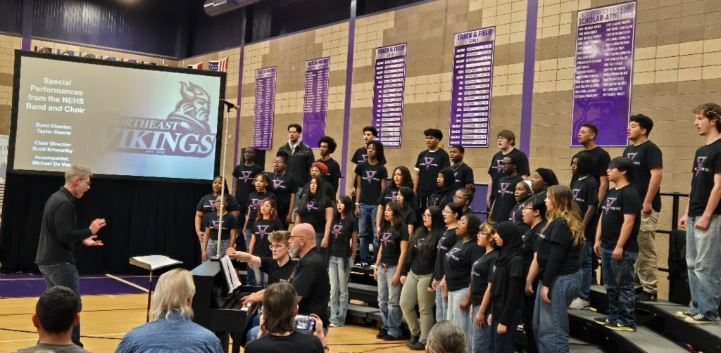 Viking Voices Choir image