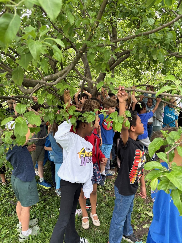 Kinder Orchard