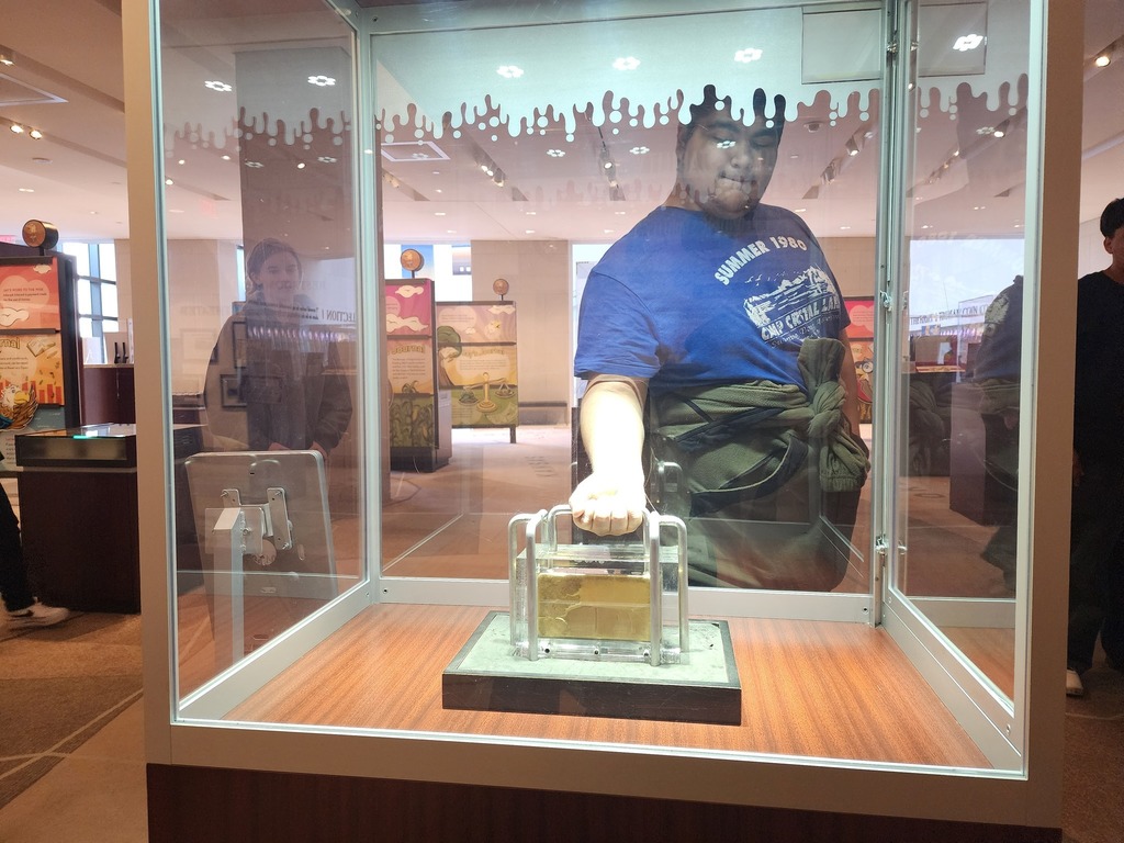 Students on a field trip to the Money Museum