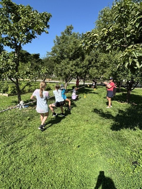 Field Day
