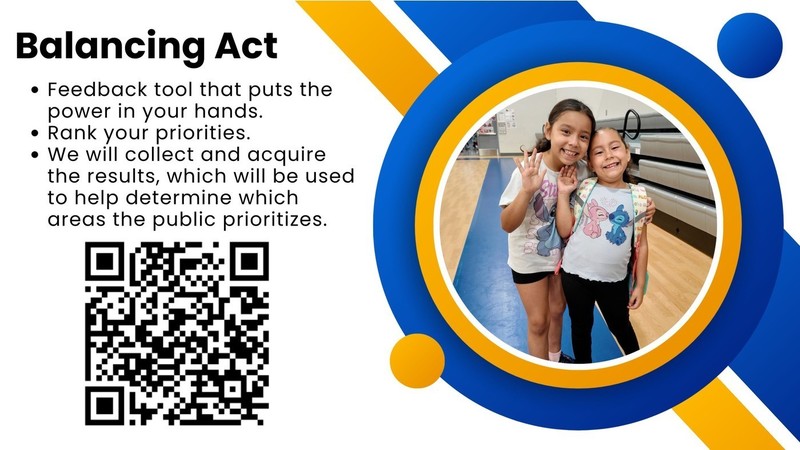 balancing act survey