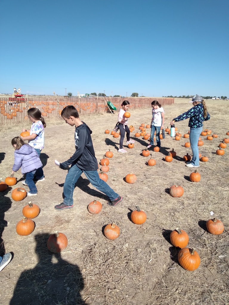 Field Trip