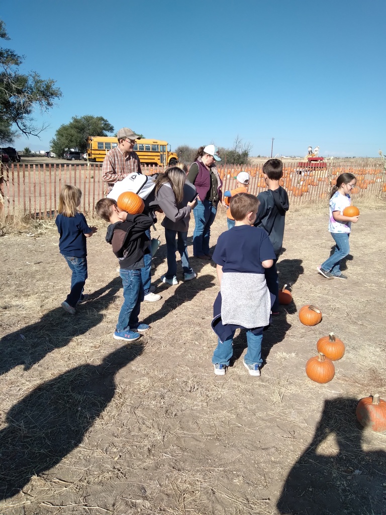Field Trip