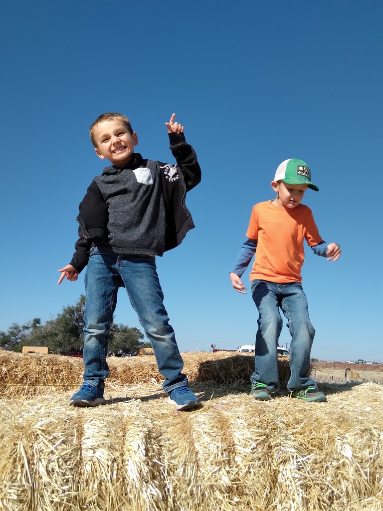 Field Trip
