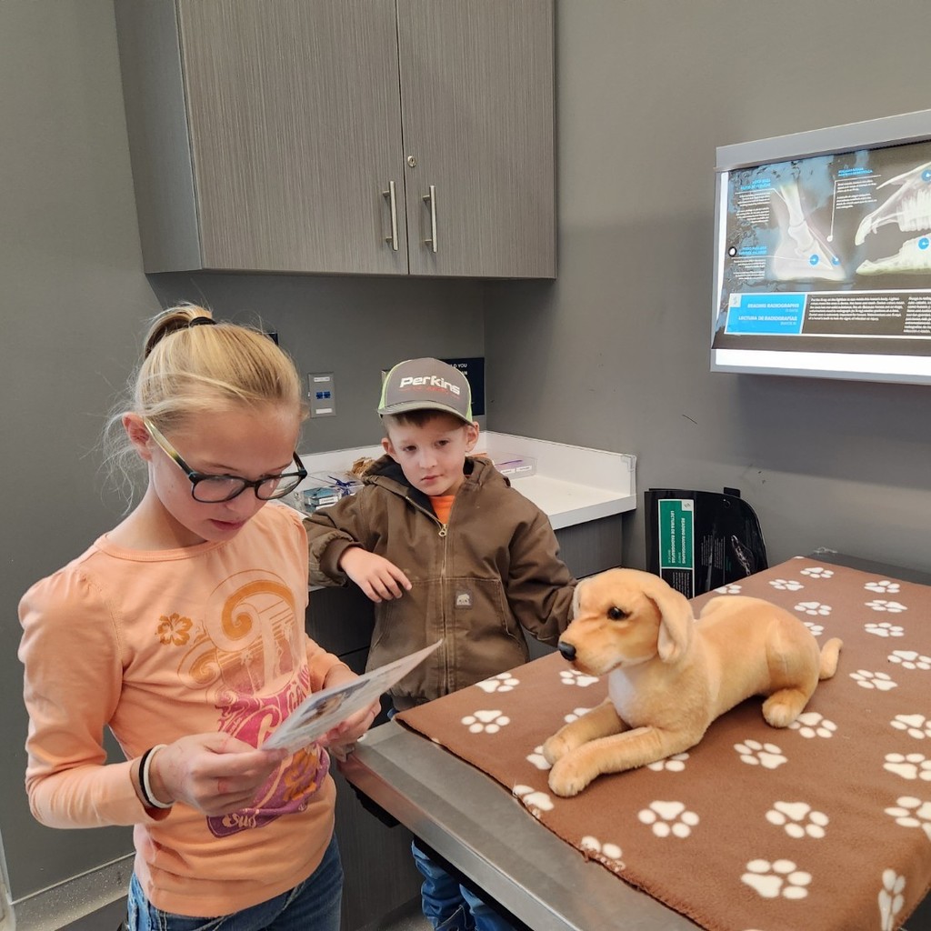 students treat a stuffed animal