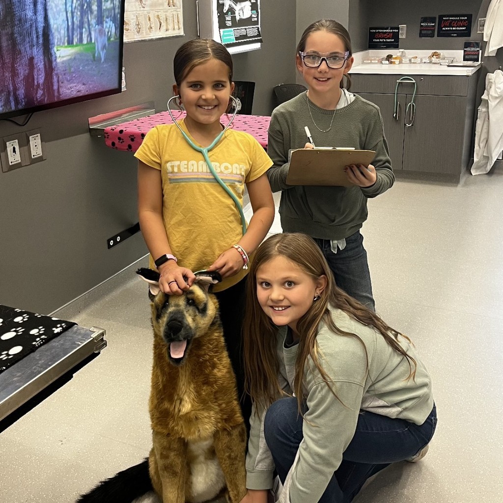 students treat stuffed animals on the pet clinic