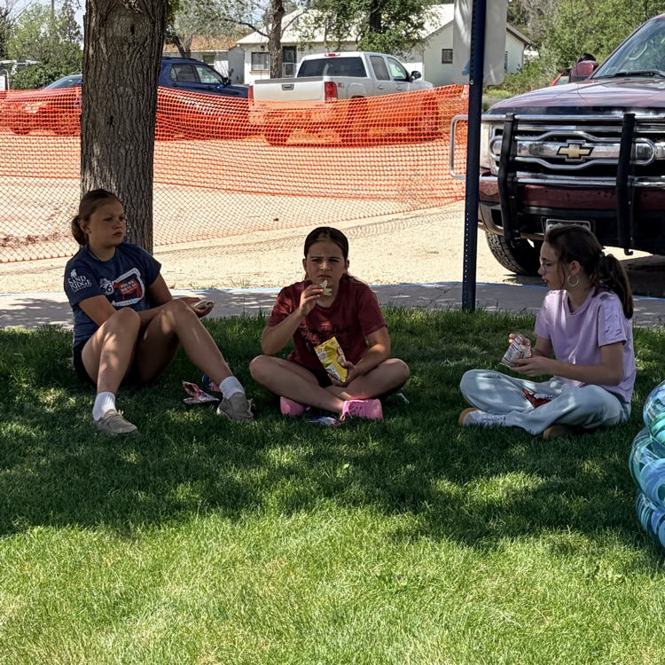 Field Day