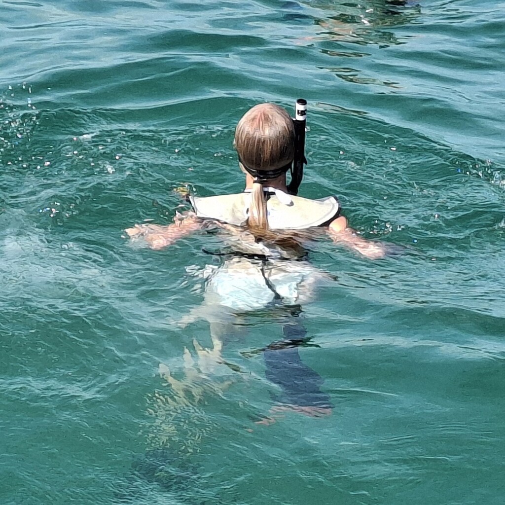 Snorkeling!