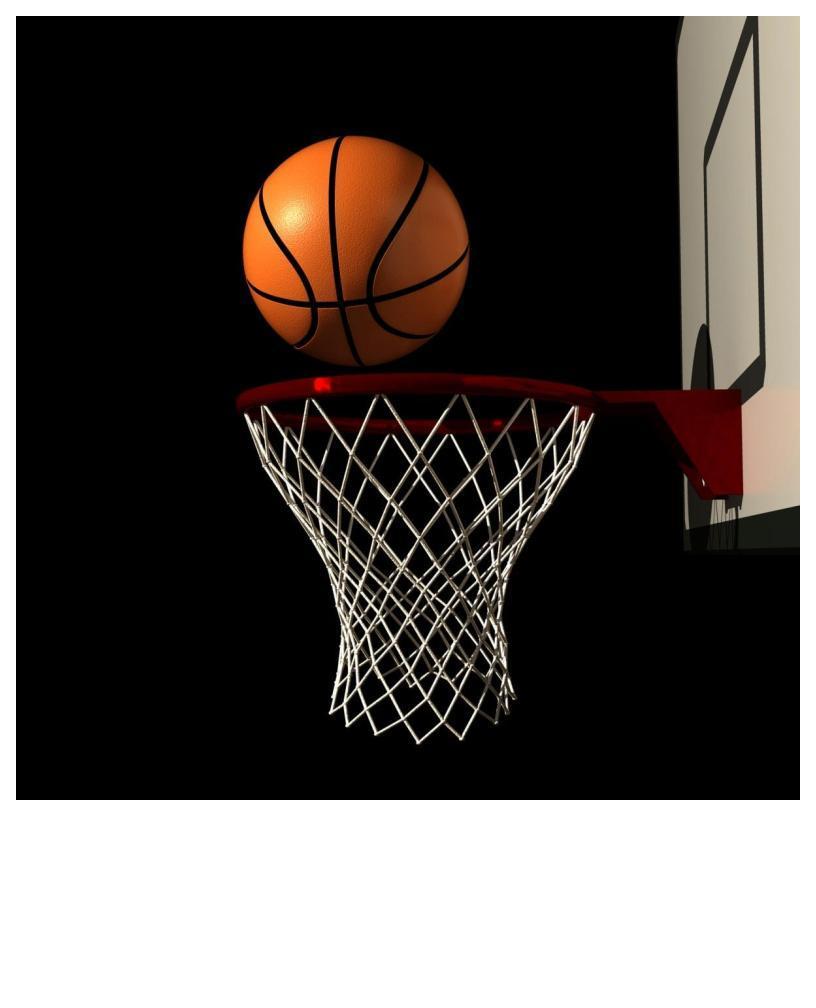 HS Basketball State Play-offs