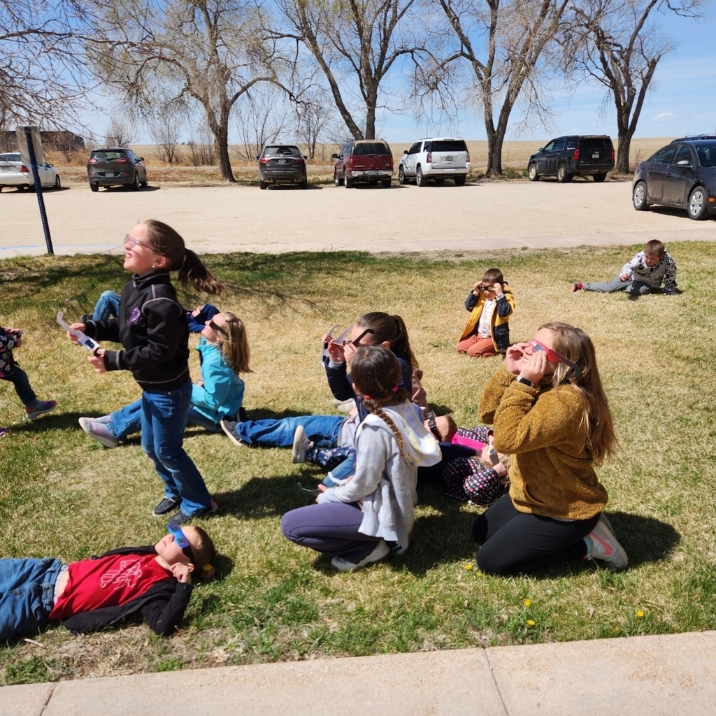 elementary students gaze at the solar eclipse from the front lawn