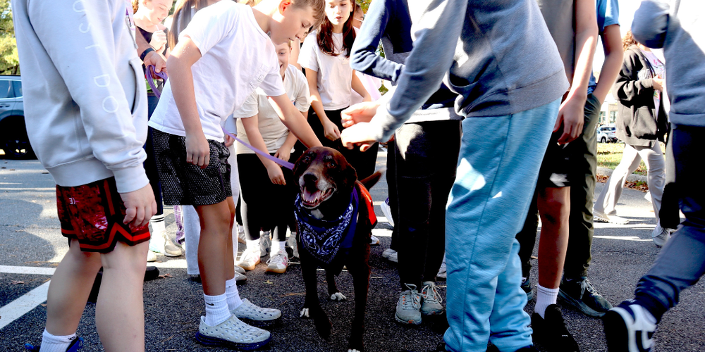 cocoa therapy dog