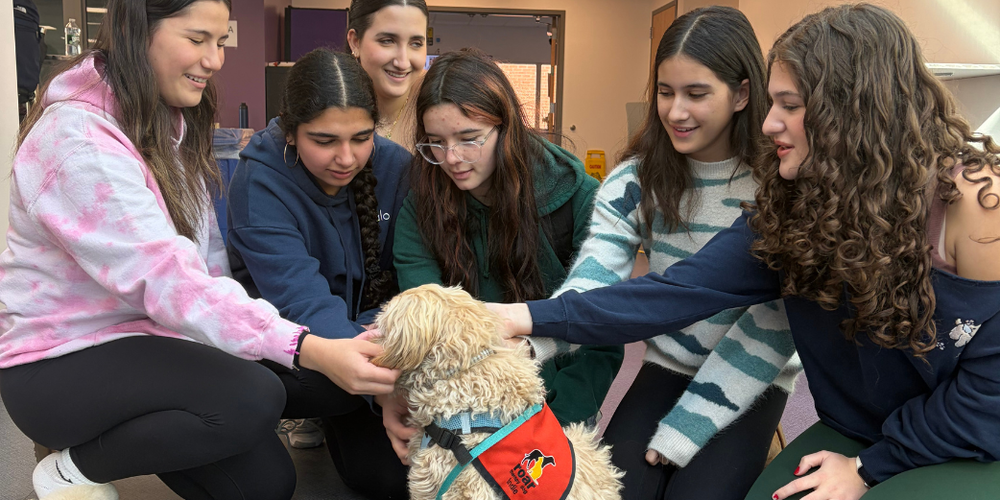 students gather around puppy