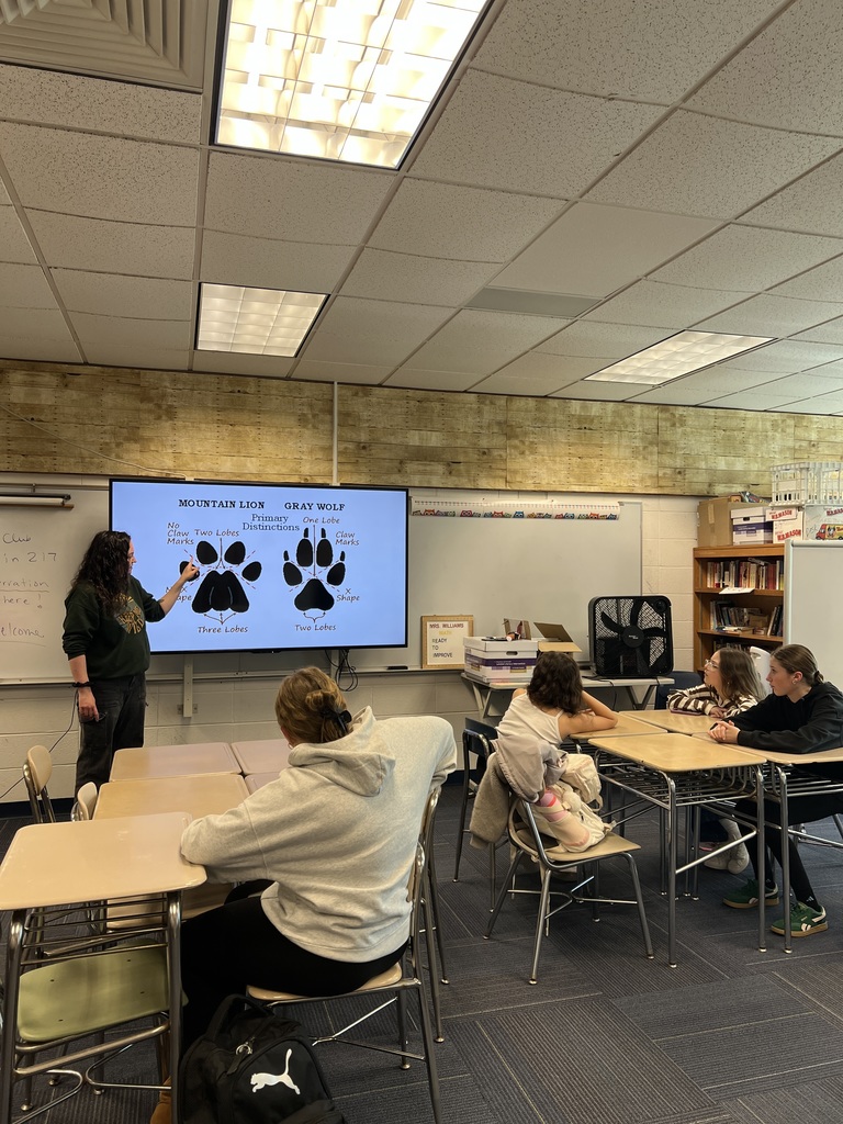 students sitting looking at screen 