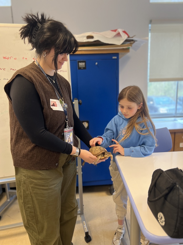 student touching turtle