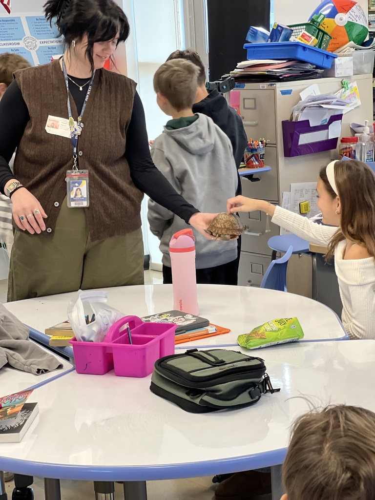 student touching turtle