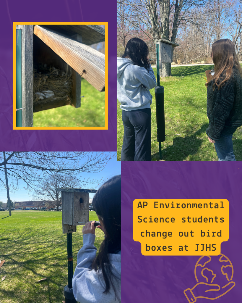 students standing by bird boxes outside in grass 