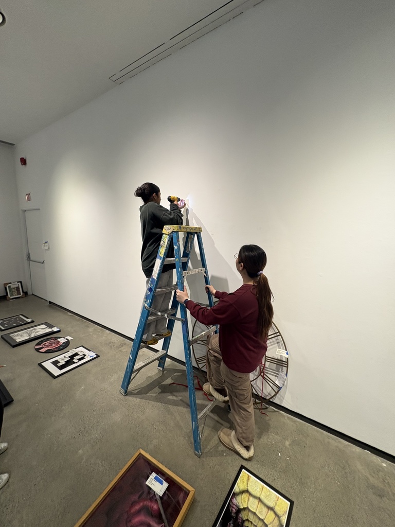 students standing on ladder