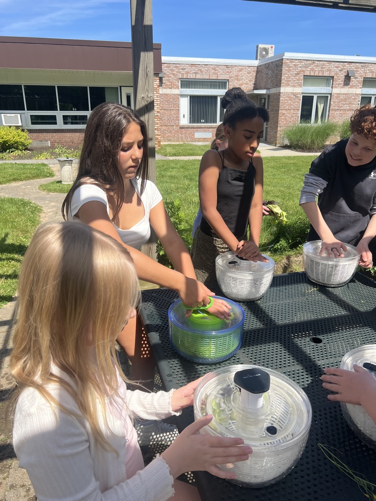 students washing lettuce