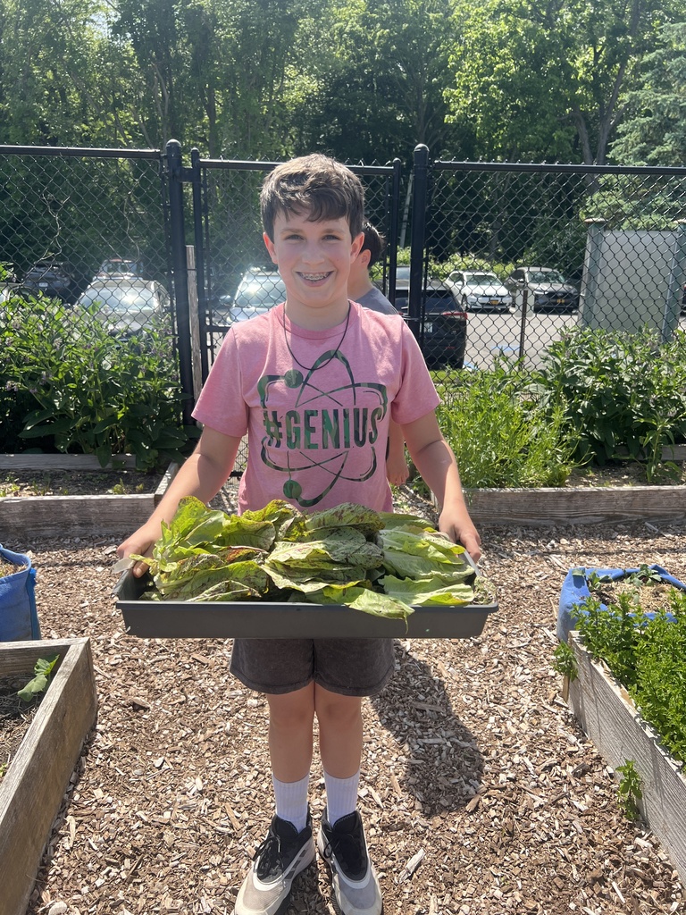student harvesting in garden 
