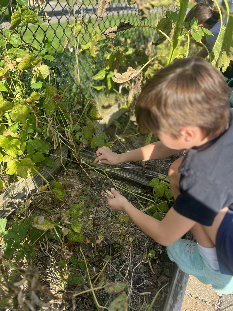 student in garden