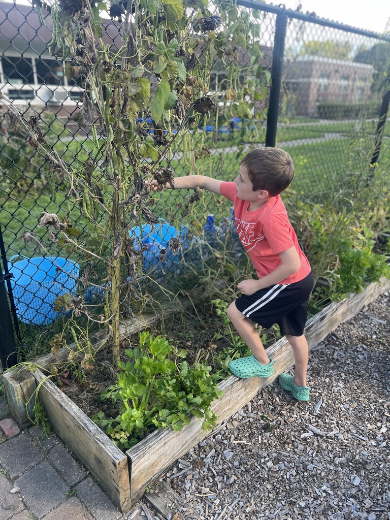 student in garden