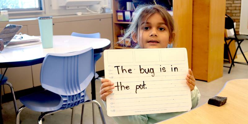 writing sentences
