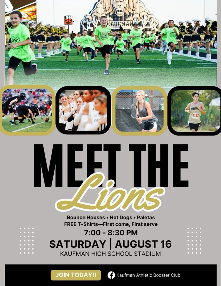 Meet the Lions