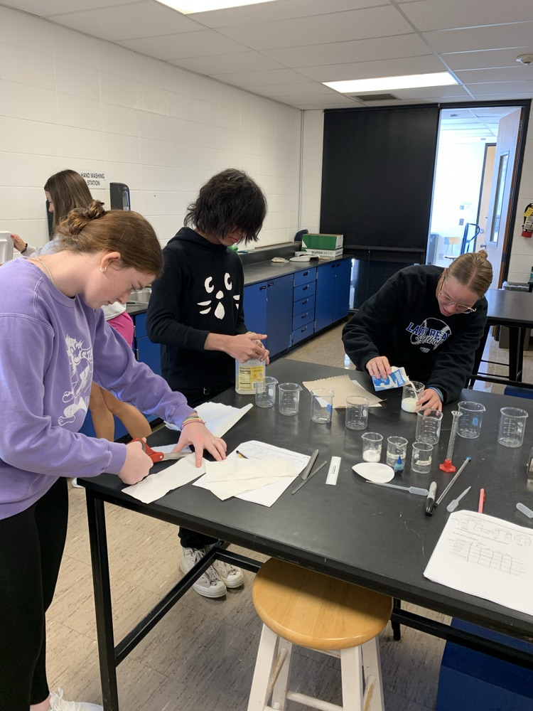 College biology students running the experiments they designed.