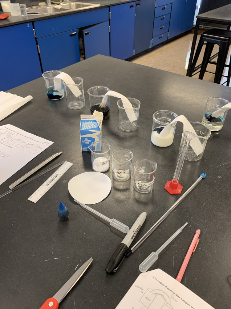 College biology students running the experiments they designed.