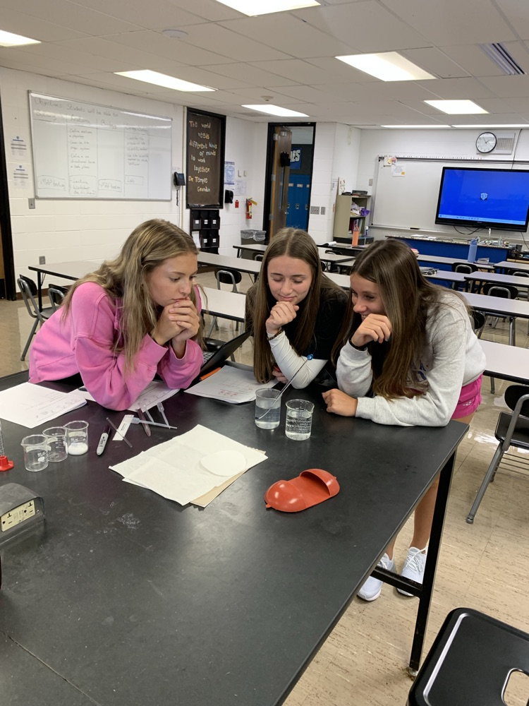 College biology students running the experiments they designed.