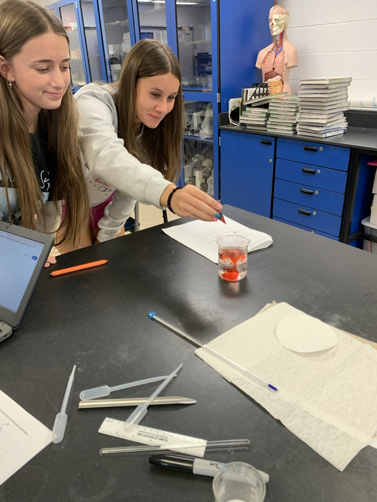 College biology students running the experiments they designed.