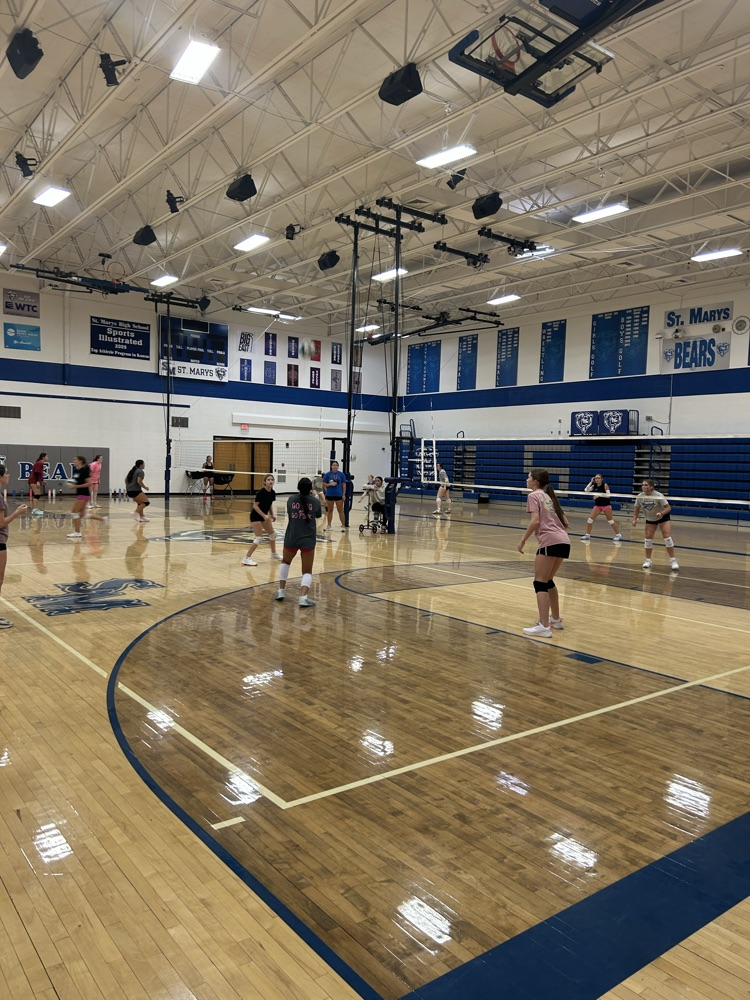 HS VB