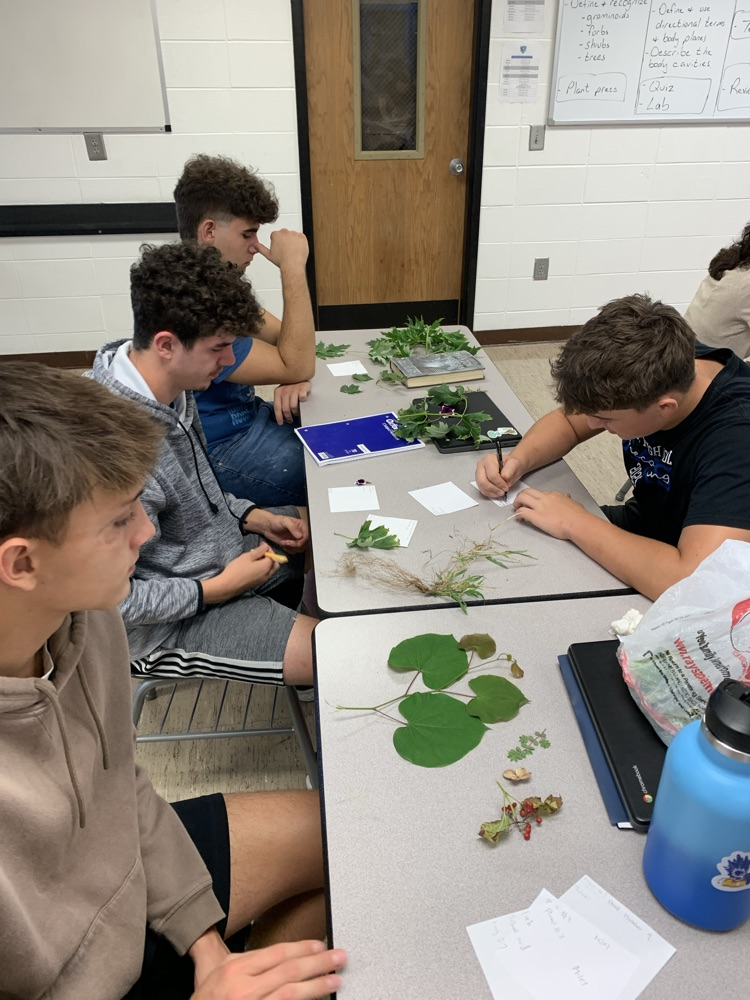 Botany students preparing plant specimens  