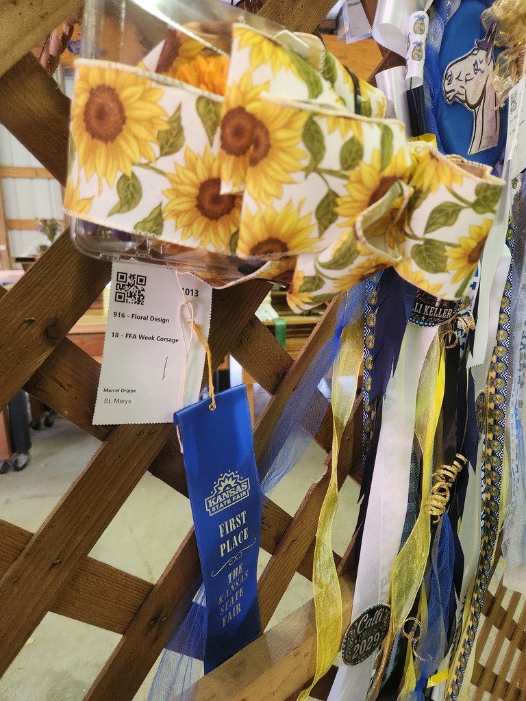 Marcel's Corsage was 1st place in the FFA Week Division!