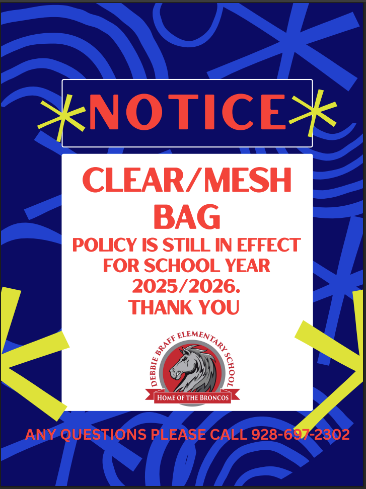 Clear/Mesh Bag