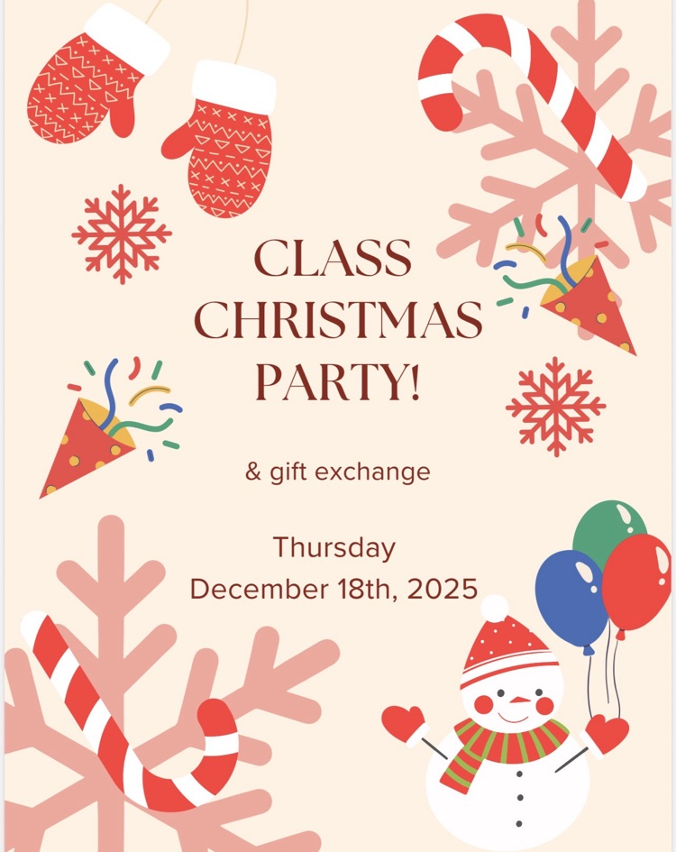 Class Christmas Party
