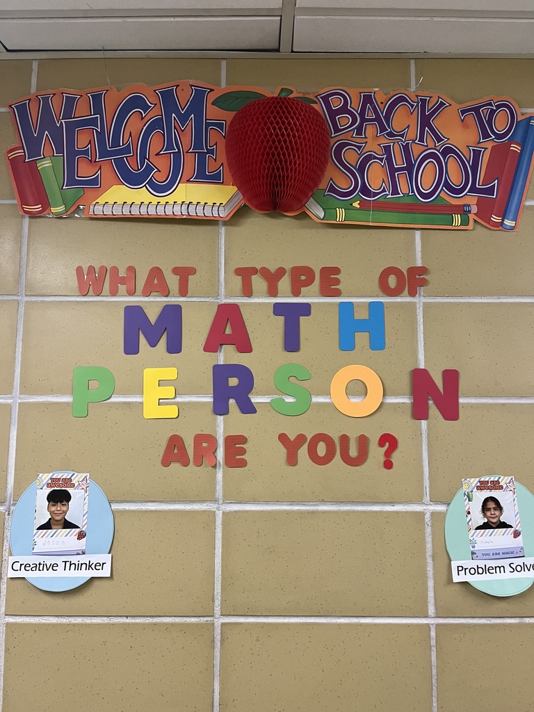 Math Mindset