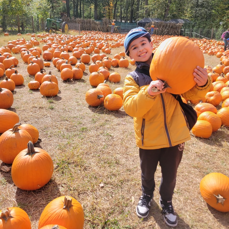 Third grade had such a fun day at Demarest Farms! They enjoyed donuts, cider, pumpkin picking, a walk through the apple orchard, and some animals! 🎃🍂