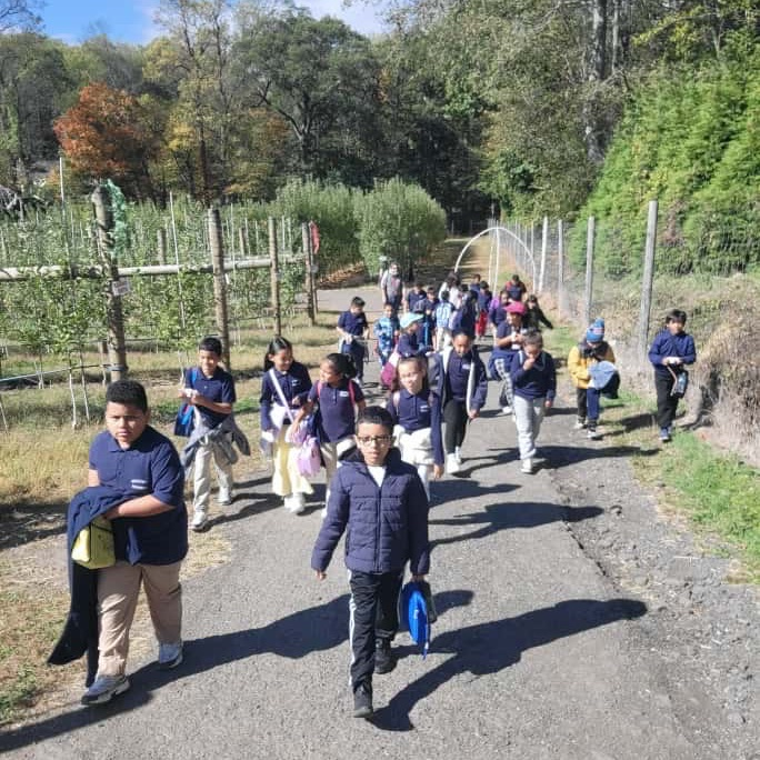 Third grade had such a fun day at Demarest Farms! They enjoyed donuts, cider, pumpkin picking, a walk through the apple orchard, and some animals! 🎃🍂