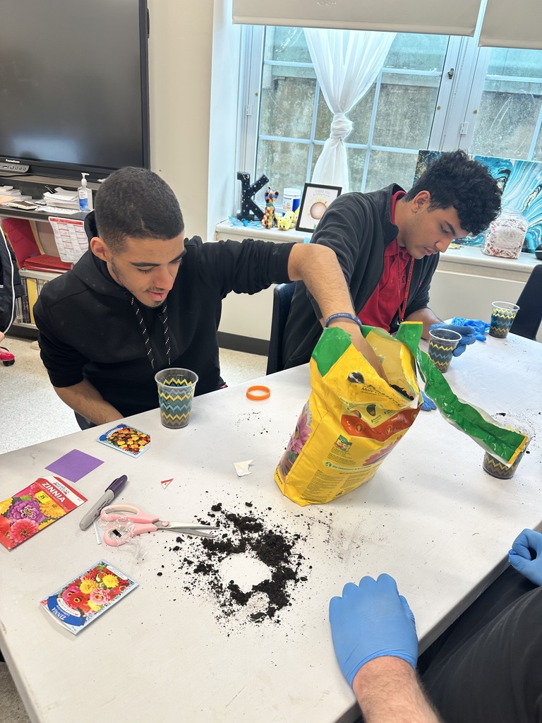 Ms. Hatfield’s Success Class contributed to the Earth Day celebration by planting some marigolds and inzinias.  The students had fun and are looking forward to tracking their growth.  