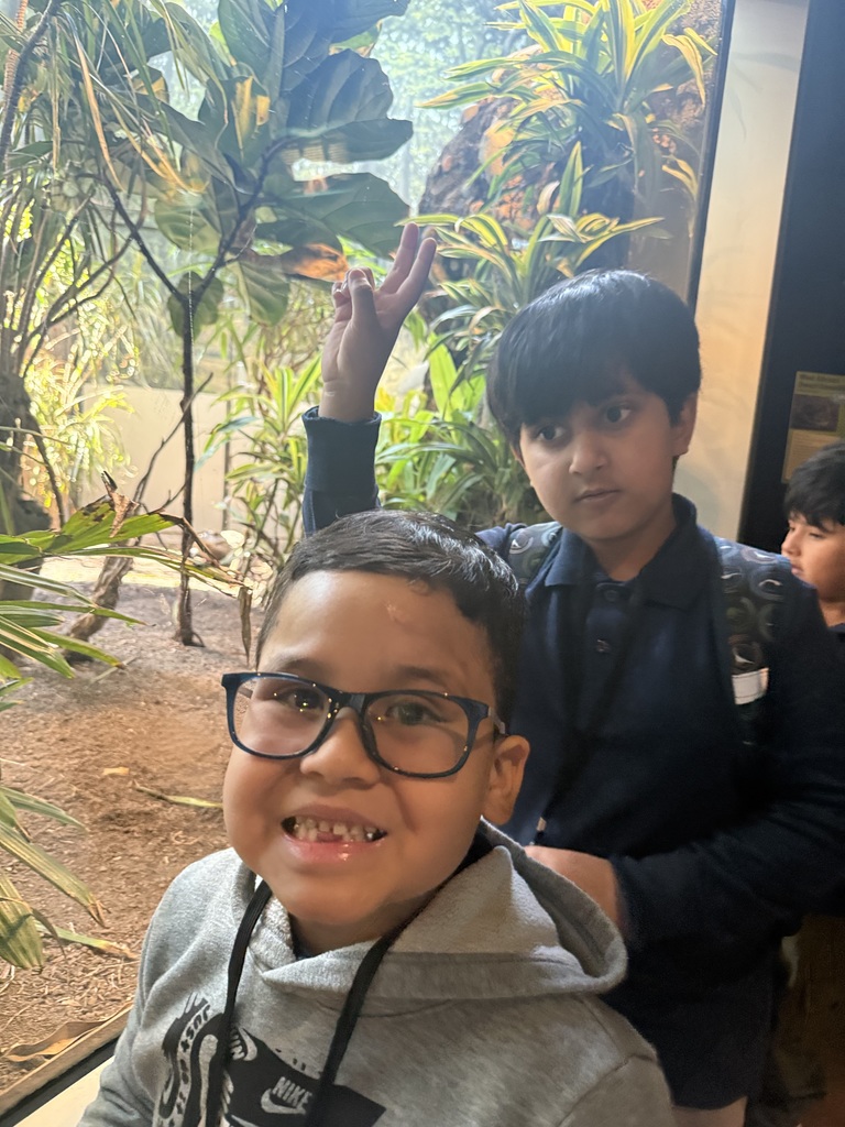 zoo