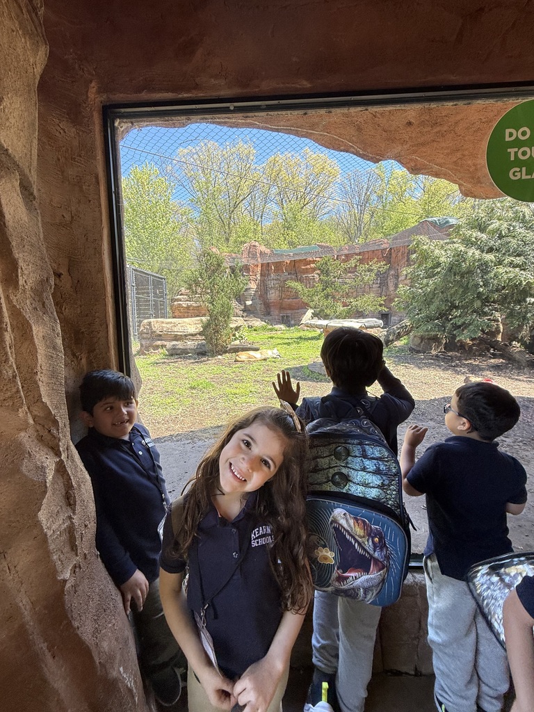 zoo