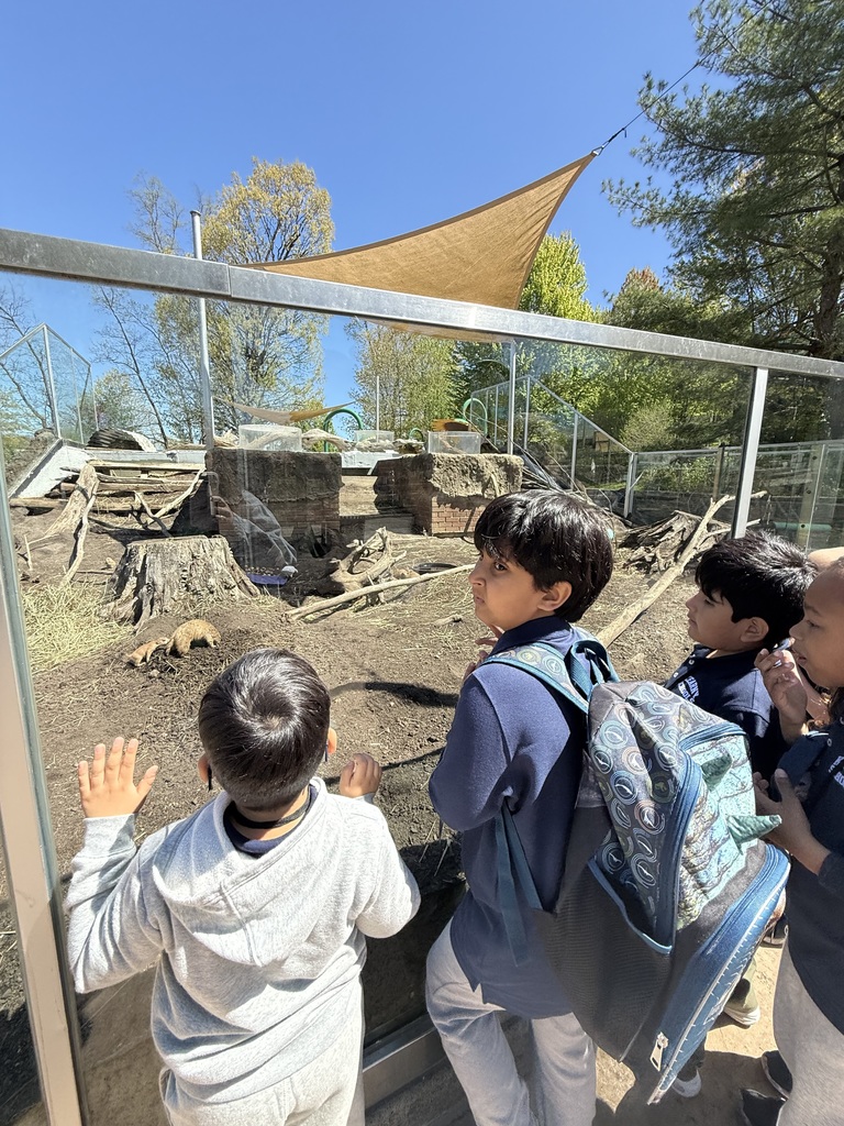 zoo